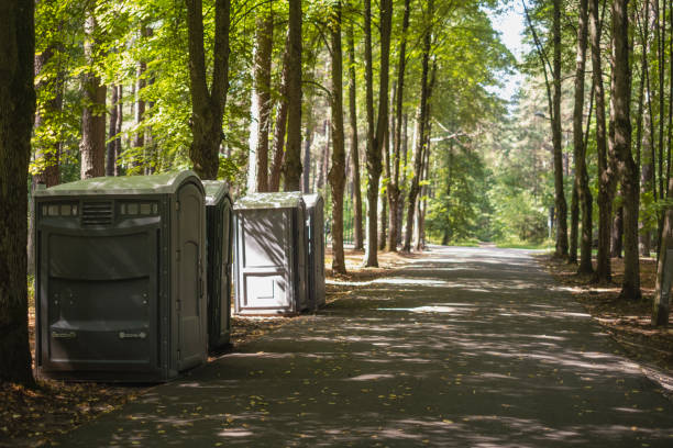 Best Luxury portable toilet rental  in Brighton, IL